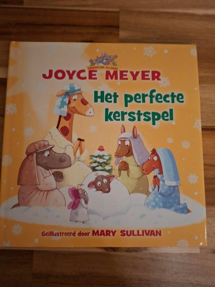 Joyce Meyer - Het perfecte kerstspel, Boeken, Godsdienst en Theologie, Zo goed als nieuw, Ophalen of Verzenden