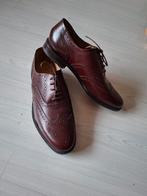 Van der Louw nette schoenen, maat 45, extra breed, Kleding | Heren, Schoenen, Bruin, Van der Louw, Ophalen of Verzenden, Gedragen