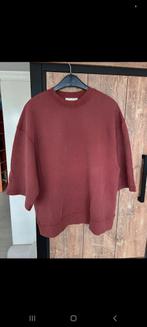 Zara, Kleding | Dames, Truien en Vesten, Zara, Ophalen of Verzenden, Zo goed als nieuw, Maat 38/40 (M)