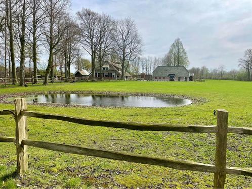 24/7 weidegang, Dieren en Toebehoren, Stalling en Weidegang, Weidegang, 1 paard of pony