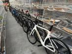 alle showroom PRORACE / 105 di2 nu €1999,-, Fietsen en Brommers, Fietsen | Racefietsen, Carbon, Nieuw, Meer dan 20 versnellingen
