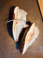 Nike Pegasus Trail 5 hike / trailrun schoenen / hardlopen, Ophalen, Zo goed als nieuw, Schoenen
