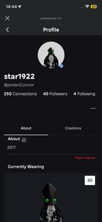 Roblox account, Eén persoon