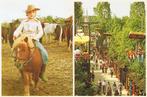 Slagharen, Shetland Ponypark - 1980, Verzamelen, Verzenden, 1980 tot heden, Gelopen, Overijssel
