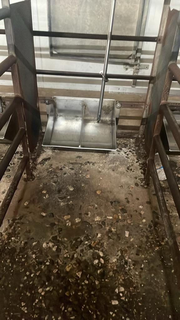 Stalinrichting voor varkens, Dieren en Toebehoren, Schapen, Geiten en Varkens, Varken, Meerdere dieren