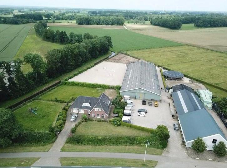 Pensionstalling te huur, Dieren en Toebehoren, Stalling en Weidegang, Weidegang