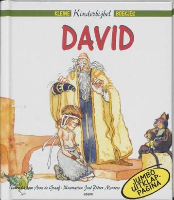David / Anne de Graaf (Kleine Kinderbijbel boekjes) beschikbaar voor biedingen
