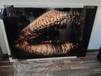 Nieuw Glas Schilderij - 120x80 cm, Ophalen, Nieuw, Schilderij, 100 tot 125 cm