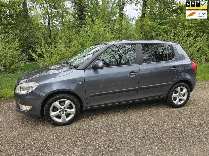 Skoda Fabia 1.2 TSI Dynamic, Auto's, Skoda, Bedrijf, Te koop, Fabia, ABS, Airbags, Airconditioning, Boordcomputer, Centrale vergrendeling