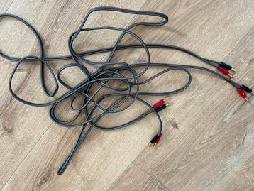 Argon Audio Prime Speaker Kabel met Bananenstekkers beschikbaar voor biedingen