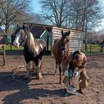 Vreemannhoofcare  specialist natuurlijk bekappen