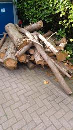 haardhout/boomstammen ongekloofd., Tuin en Terras, Haardhout, Minder dan 3 m³, Ophalen, Overige houtsoorten, Blokken