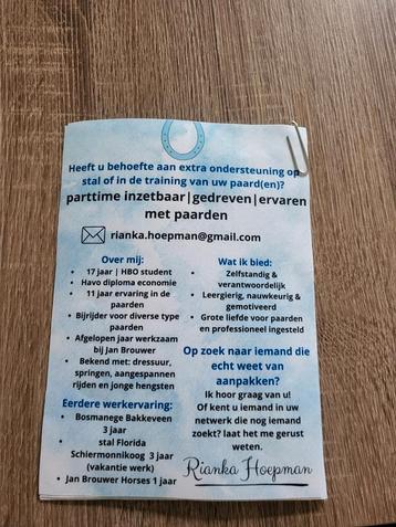 Stal ruiter/groom aangeboden  beschikbaar voor biedingen