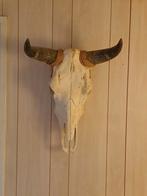 Koeienschedel voor aan de muur, Ophalen, Gebruikt