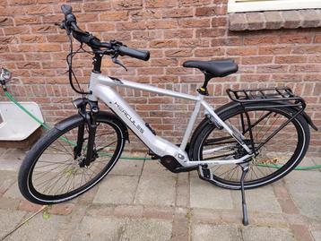 Hercules Pasero comp I-F5  belt drive beschikbaar voor biedingen