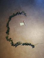 Kunststof Hedera Slinger - 1.90m, Ophalen of Verzenden, Gebruikt, Binnen