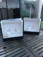 TT kooitjes.  Tentoonstellings kooien, Ophalen, Zo goed als nieuw, Hout, Overige typen