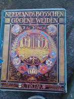 Neerlands bosschen en groene weiden ( TikTak 1928 ), Boeken, Prentenboeken en Plaatjesalbums, Gelezen, Ophalen of Verzenden