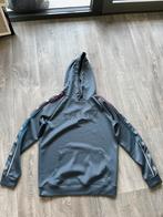 Siksilk trui, Siksilk, Maat 48/50 (M), Ophalen of Verzenden, Zo goed als nieuw