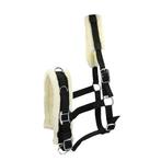 Kaptoom halster maat pony + leadrope, Dieren en Toebehoren, Ophalen of Verzenden, Zo goed als nieuw, Overige soorten