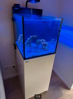 Red sea nano peninsula zeeaquarium compleet 9 maanden oud, Dieren en Toebehoren, Vissen | Aquaria en Toebehoren, Ophalen, Zo goed als nieuw