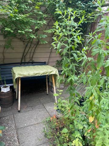 Plantentafel voor buiten. Gratis beschikbaar voor biedingen