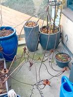 Chandelier binnen of buiten metaal, Huis en Inrichting, Lampen | Kroonluchters, Ophalen, Zo goed als nieuw, Metaal, Baroque