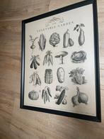 2 stuks schilderijen voor bijvoorbeeld in de keuken, Ophalen