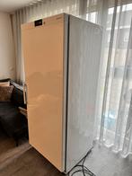 Horeca vriezer met roosters - 400 liter - top staat, Vrieskast, Gebruikt, 160 cm of meer, Ophalen of Verzenden