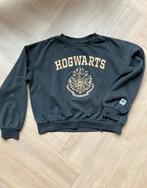 Harry Potter Hogwarts sweaters maat 146, Kinderen en Baby's, Ophalen of Verzenden, Zo goed als nieuw, Meisje, Trui of Vest