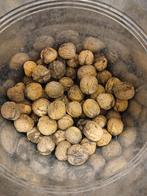 Verse Walnoten uit Eigen Tuin, Ophalen of Verzenden, Nieuw