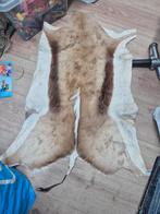 Antilopehuid / dierenhuid, Ophalen, Gebruikt, 100 tot 150 cm, Rustiek