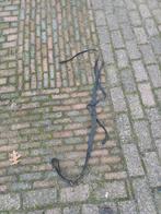 Martingaal maat full, Dieren en Toebehoren, Paarden en Pony's | Hoofdstellen en Tuigage, Ophalen