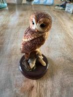 Atlas Editions Verzamel Vogeltjes, Ophalen of Verzenden, Zo goed als nieuw, Dier