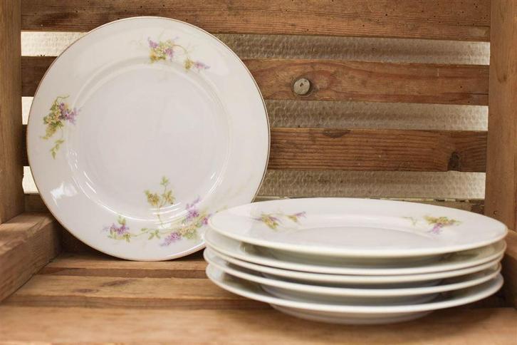 6 stuks Altrohlau cmr porseleinen bordjes 48357, Huis en Inrichting, Keuken | Servies, Gebruikt, Ophalen of Verzenden