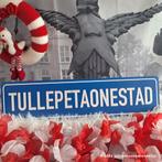 Gemeentebord TULLEPETAONESTAD. Carnaval in Roosendaal, Ophalen of Verzenden, Nieuw