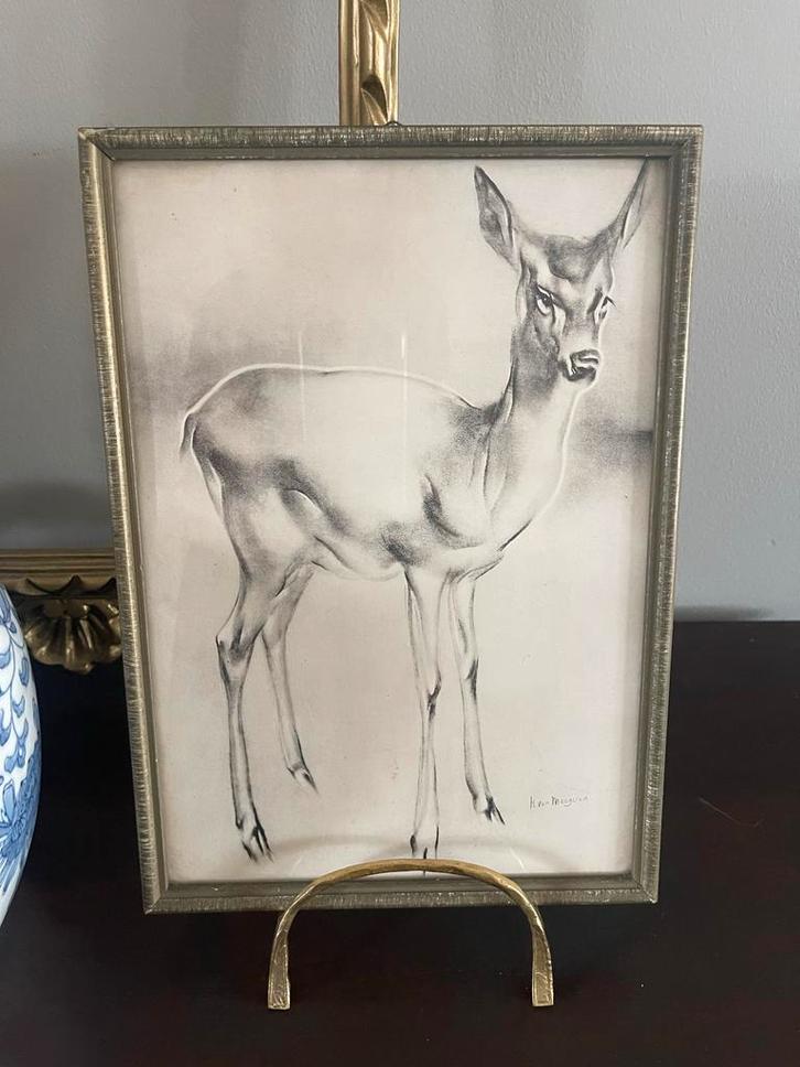 Hert Tekening H. Van Maarseveen Ingelijst, Antiek en Kunst, Kunst | Tekeningen en Foto's, Ophalen of Verzenden