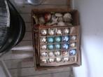 2 dozen vol antiek prachtige kerstballen, Ophalen