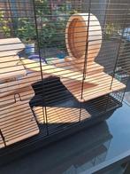 Grote hamsterkooi met complete inrichting, Dieren en Toebehoren, Knaagdieren en Konijnen | Hokken en Kooien, Kooi, Minder dan 75 cm