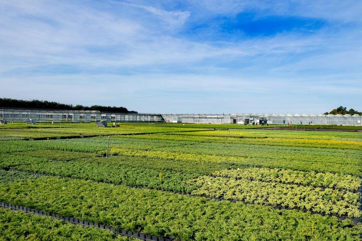 Bijbaan tuinplantenkwekerij, Vacatures, Vacatures | Landbouw, Natuur en Milieu, MBO, Tijdelijk contract, Overige uren