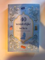 Willemijn Welten - 40 wonderlijke weken, Ophalen of Verzenden, Zo goed als nieuw, Willemijn Welten