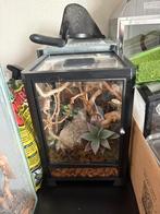 3d geprint springspinnen verblijf, Dieren en Toebehoren, Reptielen en Amfibieën | Toebehoren, Ophalen, Zo goed als nieuw, Terrarium of Paludarium