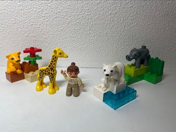 Duplo 4962 Baby Zoo beschikbaar voor biedingen