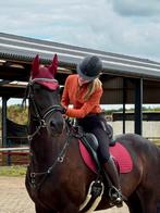 Betrouwbare bijrijder zoekt leuk paard., Ophalen of Verzenden