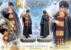 Prime Collectibles Statue Harry Potter with Hedwig, West Campus 1 76863 Herxheim (DE), Heo GmbH, Nieuw, Ophalen of Verzenden