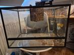 Terrarium 60x40x40, Ophalen, Zo goed als nieuw, Terrarium of Paludarium