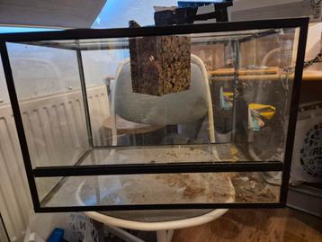 Terrarium 60x40x40 beschikbaar voor biedingen