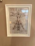 Leonardo da Vinci * mens van Vitruvius, Verzenden