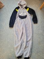 Onesie maat 152/158, Kinderen en Baby's, Kinderkleding | Maat 152, Ophalen of Verzenden, Gebruikt, Jongen of Meisje