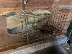 Ratenvangkooi, Dieren en Toebehoren, Kooi, Minder dan 75 cm, Zo goed als nieuw, Ophalen